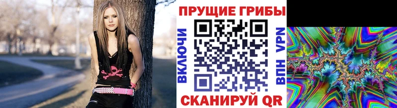 Псилоцибиновые грибы MAGIC MUSHROOMS  купить   Костерёво 